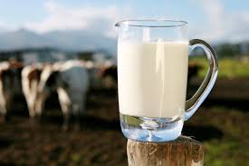 Programa Juntos para Competir traz mais rentabilidade ao produtor de leite