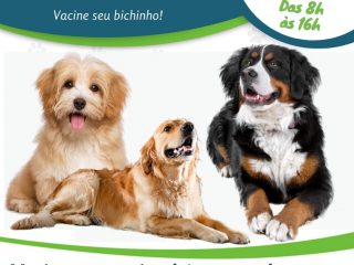 Secretaria da Agricultura de Lagoa dos Três Cantos anuncia a 2ª etapa da campanha de vacina antirrábica