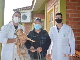 Lagoa dos Três Cantos promoveu campanha de vacinação em cães do município