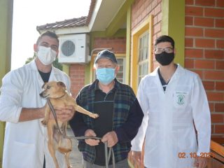 Lagoa dos Três Cantos promoveu campanha de vacinação em cães do município