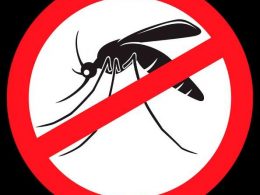 Dengue: Lagoa dos Três Cantos tem 1 caso suspeito e 14 amostras enviadas à 6ª Coordenadoria Regional de Saúde