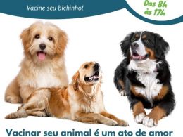 Sábado (27) será de vacinação antirrábica em Lagoa dos Três Cantos